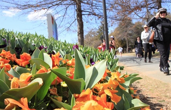 People visit Floriade in Canberra, Australia