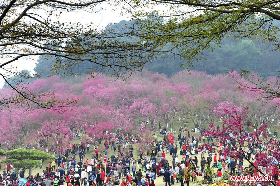 #CHINA-SPRING-FLOWER (CN)