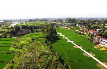 Rural scenery around Guoyuan Village in Chongqing