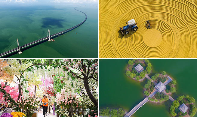 Weekly choices of Xinhua photo