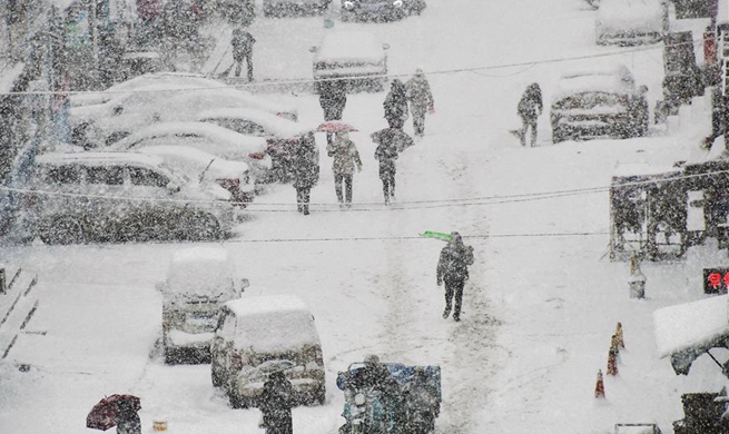 Snowfall hits Yantai, E China's Shandong