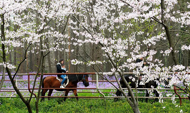 City forest flower exhibition held in Shanghai