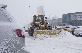 In pics: snow days in Toronto, Canada