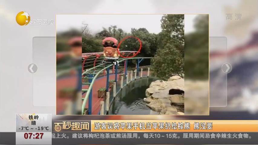 游客误将苹果手机当苹果扔给棕熊 熊没要